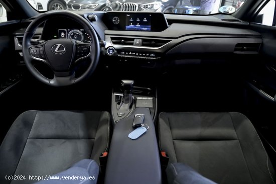 Lexus UX  250h Business Navigation 2WD 184cv - 