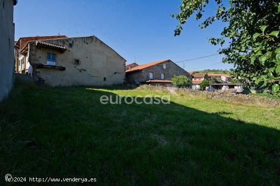 LIENZO EN BLANCO - CANTABRIA