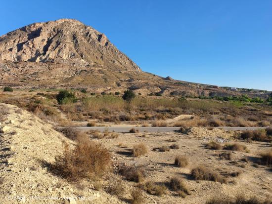 PARCELAS RÚSTICAS - EL REBOLLEDO (ALICANTE) - ALICANTE