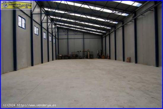 Nave de 600 m2 + 200 m2 de patio en polígono de Fortuna - MURCIA