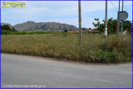 Parcela para construir chalet en Matanzas - MURCIA