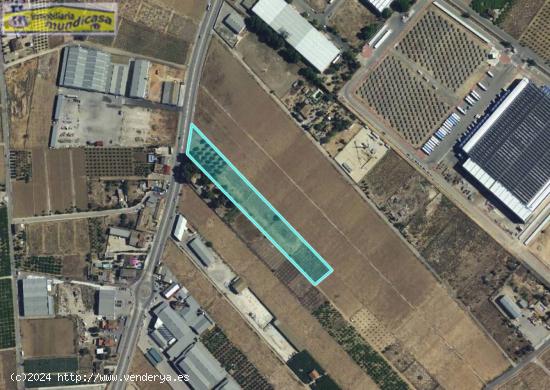 Se vende finca rústica en La Matanza de Santomera - MURCIA