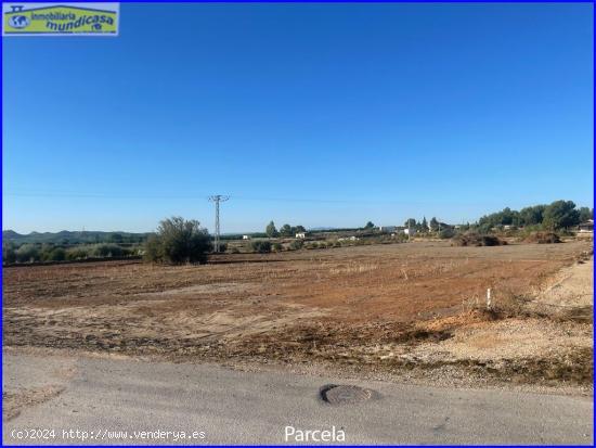 Parcela rústica en La Matanza de Fortuna - MURCIA