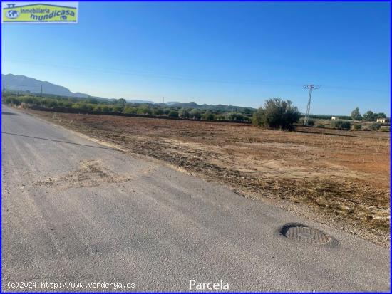 Parcela rústica en La Matanza de Fortuna - MURCIA