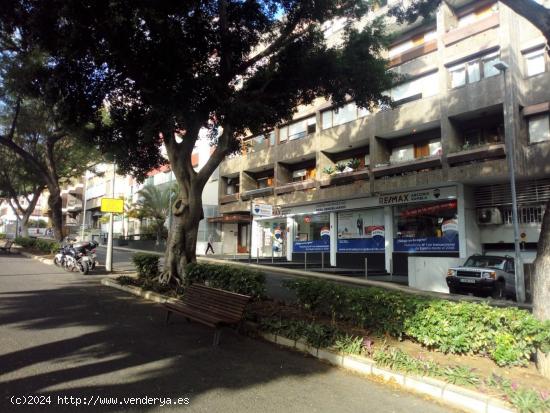 Se Alquila en Santa Cruz de Tenerife - SANTA CRUZ DE TENERIFE