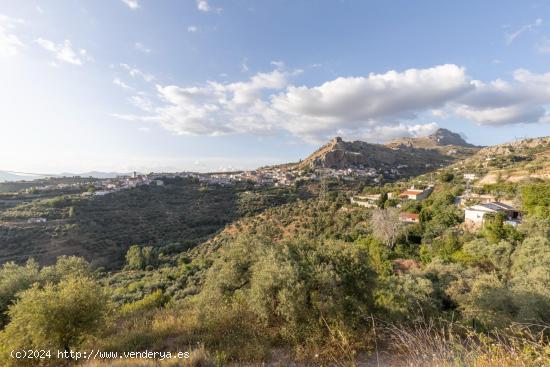 Se vende parcela urbana en Cogollos Vega - GRANADA