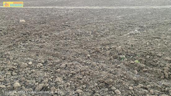 Tierra calma en buena ubicación - CORDOBA