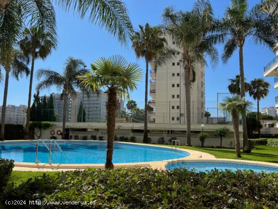 APARTAMENTO RIOJA III. PLAYA DE GANDIA - VALENCIA