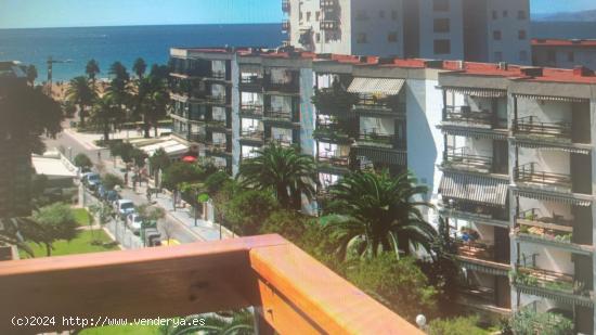 Apartamento en el paseo de Salou - TARRAGONA