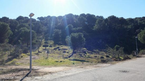 PARCELA URBANIZABLE EN LAS JARAS - CORDOBA