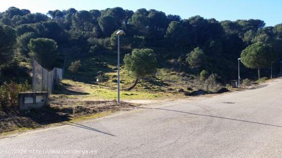 PARCELA URBANIZABLE EN LAS JARAS - CORDOBA