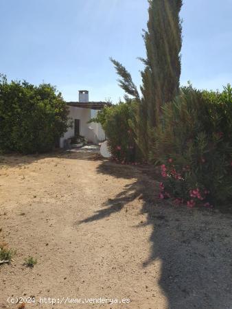 CORTIJO EXPLOTACION AGRARIA  Y CABALLOS FRENTE SAN ANDRES GOLF. - CADIZ