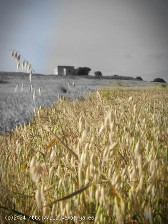 Gran finca de alto valor natural - CADIZ