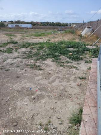 Parcela en el Marquesado segregada - CADIZ