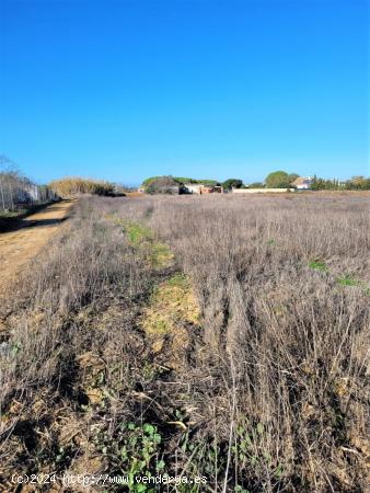 Parcela segregada en zona Hozanejo - CADIZ