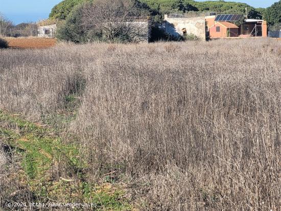 Parcela segregada en zona Hozanejo - CADIZ