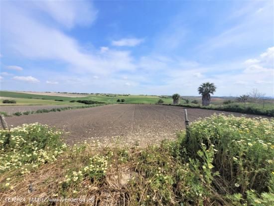 Parcela rustica en Miralmar - CADIZ