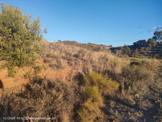 VIVIR EN LA NATURALEZA CON TODOS LOS SERVICIOS A MENOS DE 5 KM - MALAGA