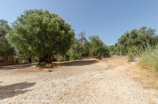 terreno urbano en churriana- finca  el coronel- , acceso privado y vistas al mar - MALAGA