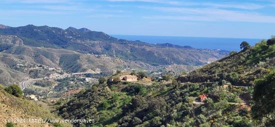 Venta de Terreno Rústico en los Montes de Málaga - MALAGA