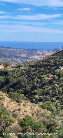 Venta de Terreno Rústico en los Montes de Málaga - MALAGA