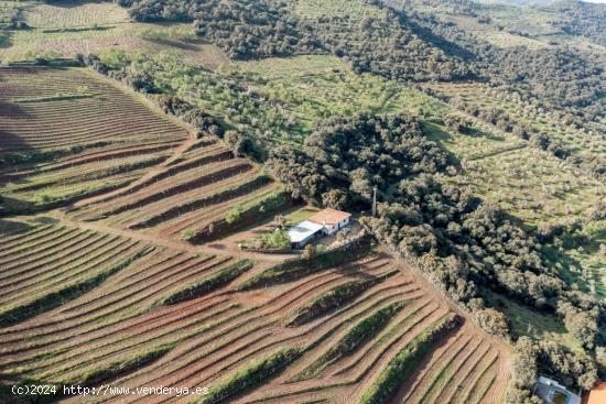 ESPECTACULAR FINCA  EN DUDAR - GRANADA