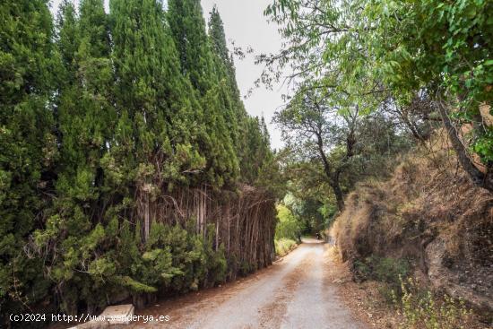 Magnífica finca de 15 ha. con Casa Cortijo  Los Carmencillos  en Aynadamar - GRANADA