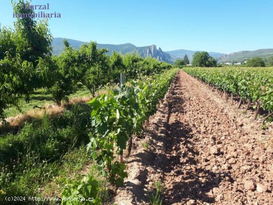 Finca rustica de 34000 m en termino de Nalda - LA RIOJA