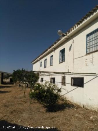 A la venta chalet más dos viviendas en Puente Jontoya. - JAEN