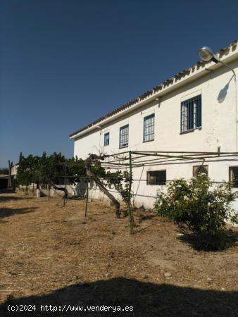 A la venta chalet más dos viviendas en Puente Jontoya. - JAEN