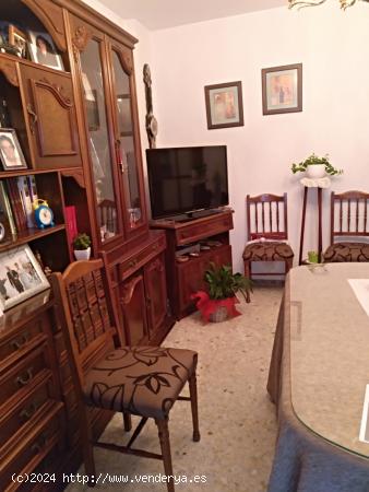 SE VENDE PISO ZONA CATEDRAL - JAEN