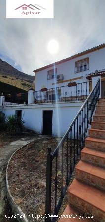 SE VENDE FINCA DE 9.200M2 CON CASA EN LA MELLA - JAEN