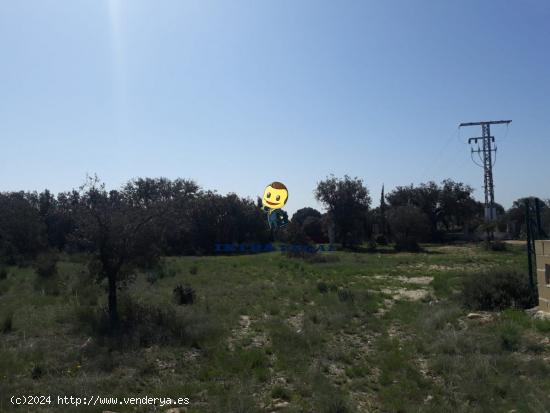 PARCELAS URBANAS EN 4 CALZADAS. - SALAMANCA