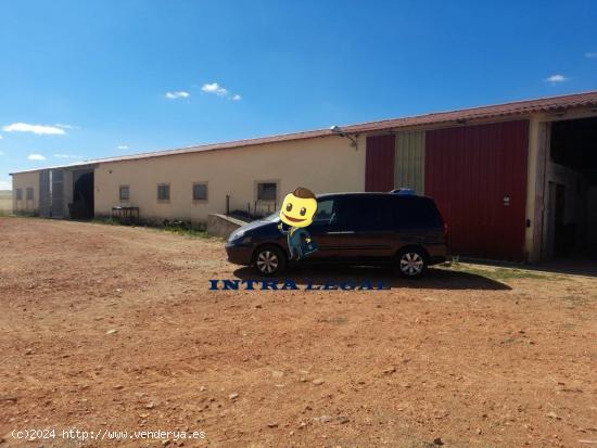 Explotación Porcina en San Marcial- Provincia de Zamora. - ZAMORA