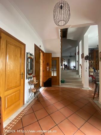 NUEVO CHALET EN VENTA URB. LAS PALMERAS, CORIA DEL RÍO. - SEVILLA