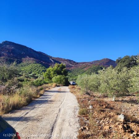 TERRENO RÚSTICO CON VISTAS PANORAMICAS A LA SIERRA DE ALHAURIN EL GRANDE - MALAGA