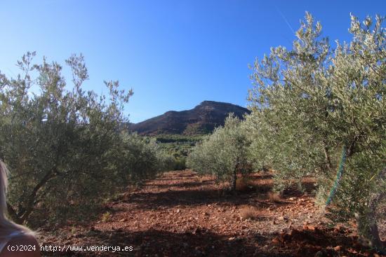 TERRENO RÚSTICO CON VISTAS PANORAMICAS A LA SIERRA DE ALHAURIN EL GRANDE - MALAGA