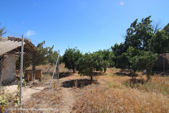 TERRENO RUSTICO CON ALMACÉN DE 48M - MALAGA