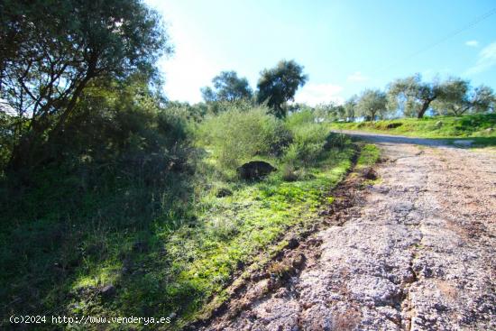 PRECIOSO TERRENO CON VISTAS DESPEJADAS - MALAGA