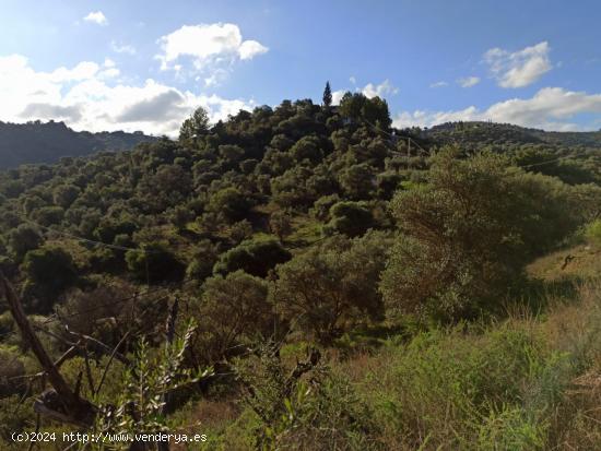 PRECIOSO TERRENO CON VISTAS DESPEJADAS - MALAGA