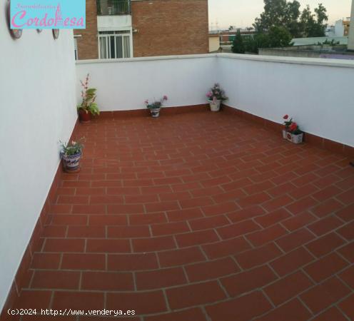 Se Vende en Córdoba - CORDOBA