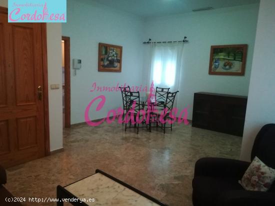 EXCELENTE APARTAMENTO SEMINUEVO EN ZONA AYUNTAMIENTO. - CORDOBA