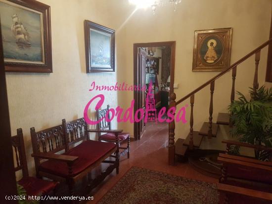 FANTASTICO PISO JUNTO AL AYUNTAMIENTO, CON 5 DORMITORIOS!!! - CORDOBA