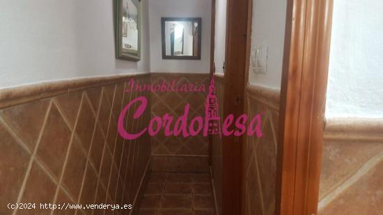 CASA INDEPENDIENTE A 5 MINUTOS DEL AYUNTAMIENTO!!! - CORDOBA