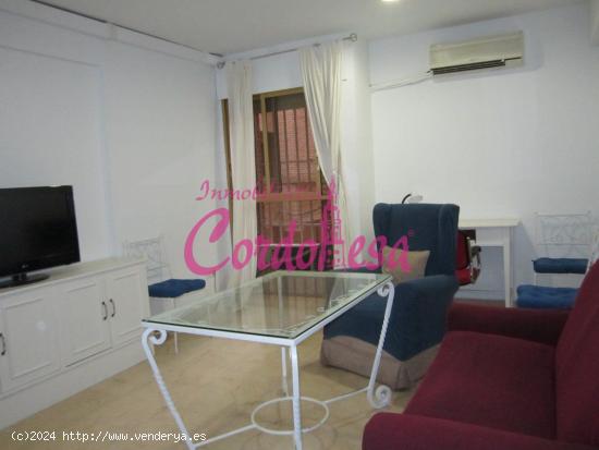 MAGNÍFICO APARTAMENTO JUNTO AL CORTE INGLÉS - CORDOBA