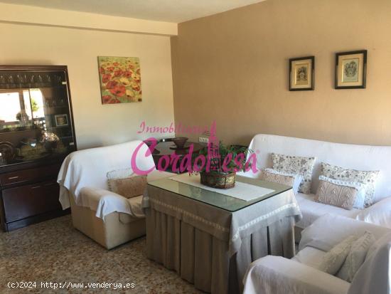 MAGNIFICA VIVIENDA CON SOLARIUM EN ALCOLEA!!! - CORDOBA