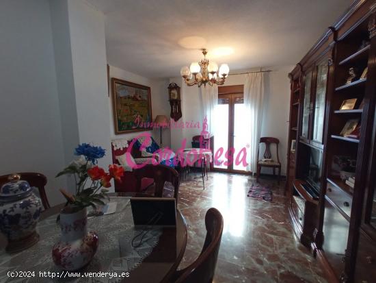 MAGNIFICO PISO CON PATIO Y SOLARIUM ZONA DEL AYUNTAMIENTO - CORDOBA