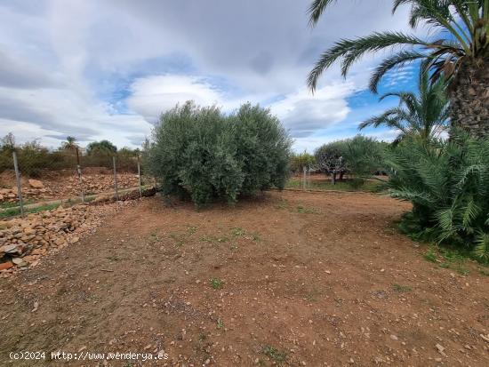 Casa de Campo en Torrellano para Reformar - ¡Un Lugar Perfecto Para Crear Tu Hogar Ideal! - ALICANT