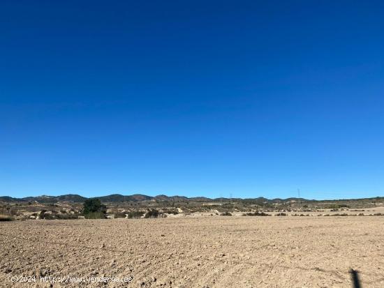 Mas de 20.000 metros de finca junto a Corvera y Baños y Mendigo - MURCIA