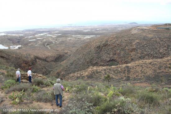 Finca Rustica Arico - SANTA CRUZ DE TENERIFE